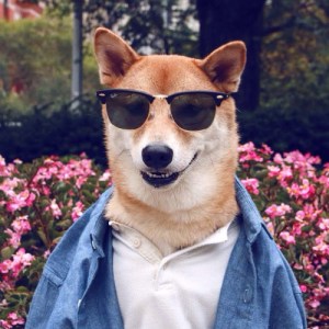 'Menswear Dog' se ha convertido en un referente del código del buen vestir para los hombres. (Crédito:Tumblr/ Mensweardog)