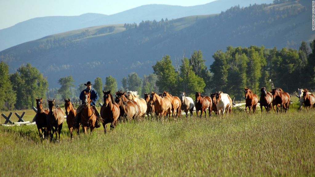 Si alguna vez has soñado con montar a caballo en el Viejo Oeste, entonces un viaje a Montana podrían ser las vacaciones perfectas.