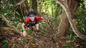 Juegos del hambre: el miedo de ser comido vivo se suma al reto de la Jungle Marathon. 