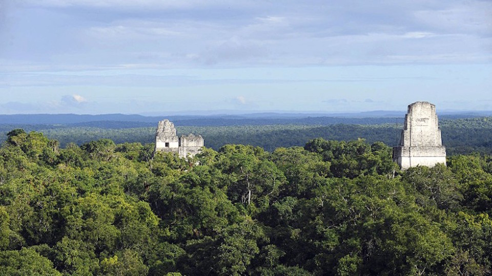 Parque Tikal Guatemala, Petén, Guatemala.