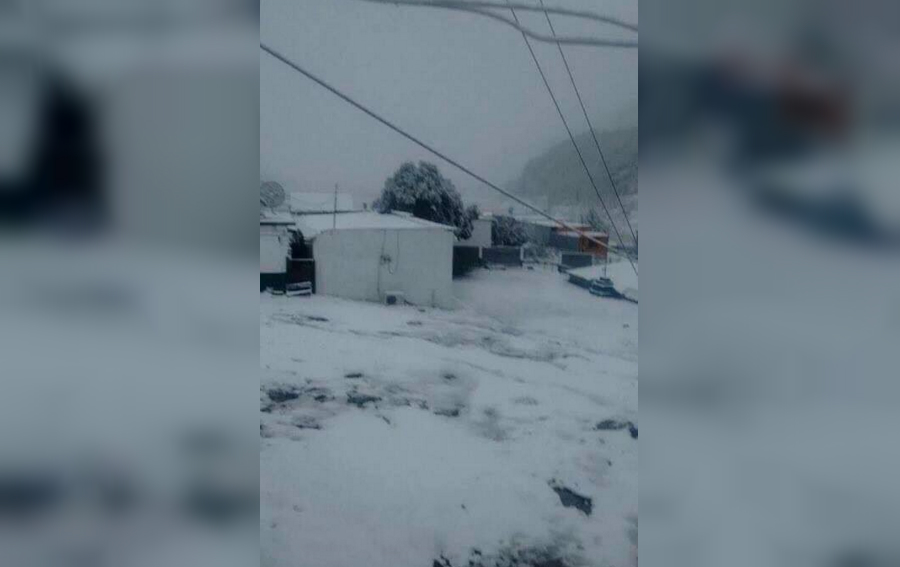 Nieve en Nuevo León (Crédito: @Estrada71)