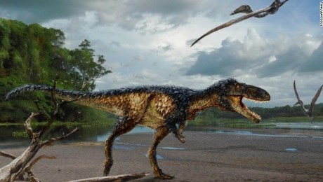 Cerebro antes que músculo: cómo el Tiranosaurio Rex se convirtió en rey |  CNN