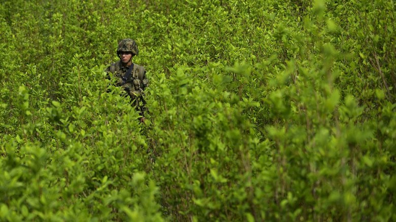 A Colombian soldier provides security to a group of peasants working in eradication of coca plantations in the mountains of Yali municipality, northeast of Medellin, Antioquia department, on September 3, 2014. More than 100 hectares of coca plantations have been destroyed in three months, according to local authorities. Colombia is responsible for 41.6 percent of the world's coca plantations, followed by Peru with 40.7 percent and Bolivia with nearly 18 percent. AFP PHOTO/Raul ARBOLEDA (Photo credit should read RAUL ARBOLEDA/AFP/Getty Images)