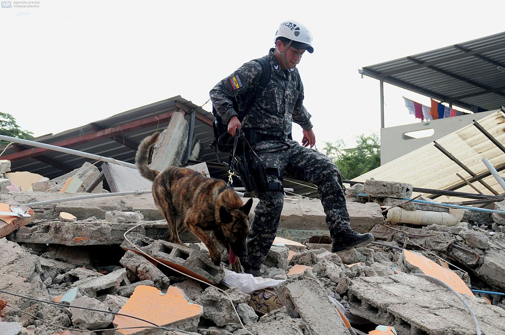 TOPSHOT - With the help of trained dogs, rescue workers in the city of Manta in Manabi province search on April 17, 2016 through the rubble for survivors of the 7.8-magnitude quake that hit Ecuador on Saturday. At least 235 people were killed by the powerful earthquake that destroyed buildings and a bridge and sent terrified residents scrambling from their homes, authorities said Sunday. / AFP / ARIEL OCHOA (Photo credit should read ARIEL OCHOA/AFP/Getty Images)