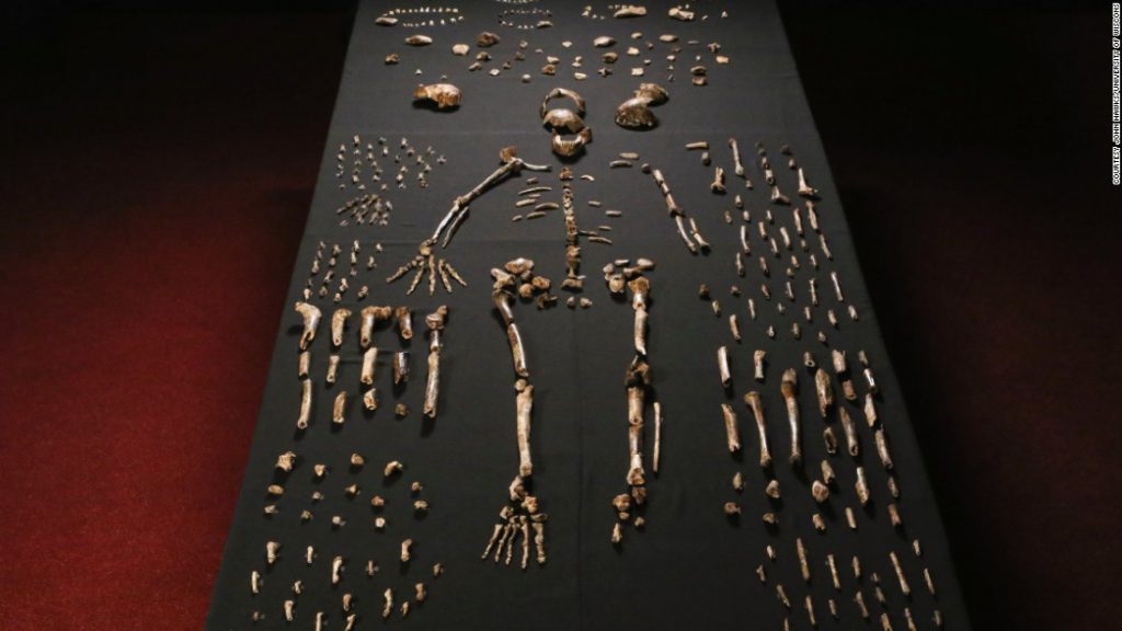 Homo Naledi Una Nueva Especie De Humano Fue Descubierto Dentro De Una Cueva En Sudáfrica 9034