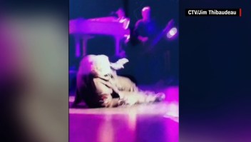 Varios fans captaron el video del momento en que Meat Loaf colapsa y lo compartieron en redes sociales.