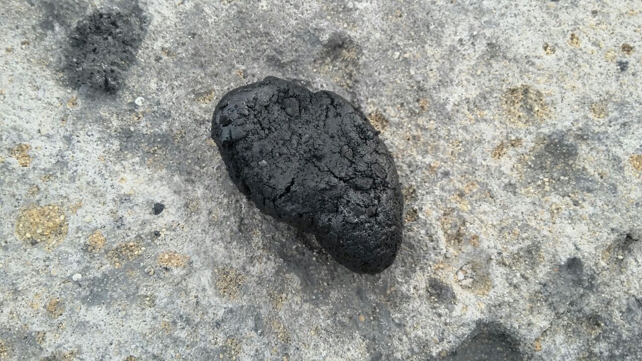 La droga era mimetizada en carbón, según las autoridades. (Crédito: Policía de Colombia)