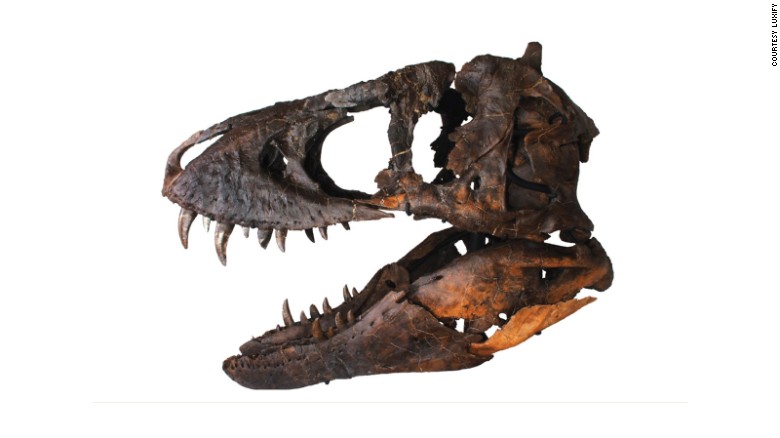 En subasta: cráneo de T. rex por 1,8 millones de dólares | CNN