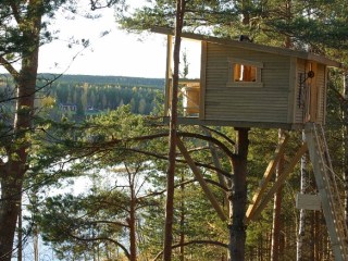 Quieres cuidar el medio ambiente? Construye tu casa en un árbol | Gallery |  CNN