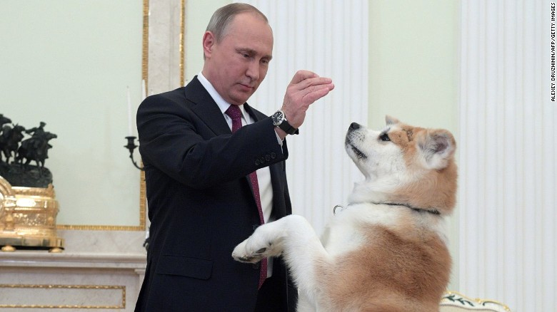 Putin juega con su perra Yume antes de la entrevista con unos periodistas japoneses. 