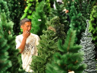 Natural o artificial: ¿cuál es el árbol de Navidad más ecológico? | CNN