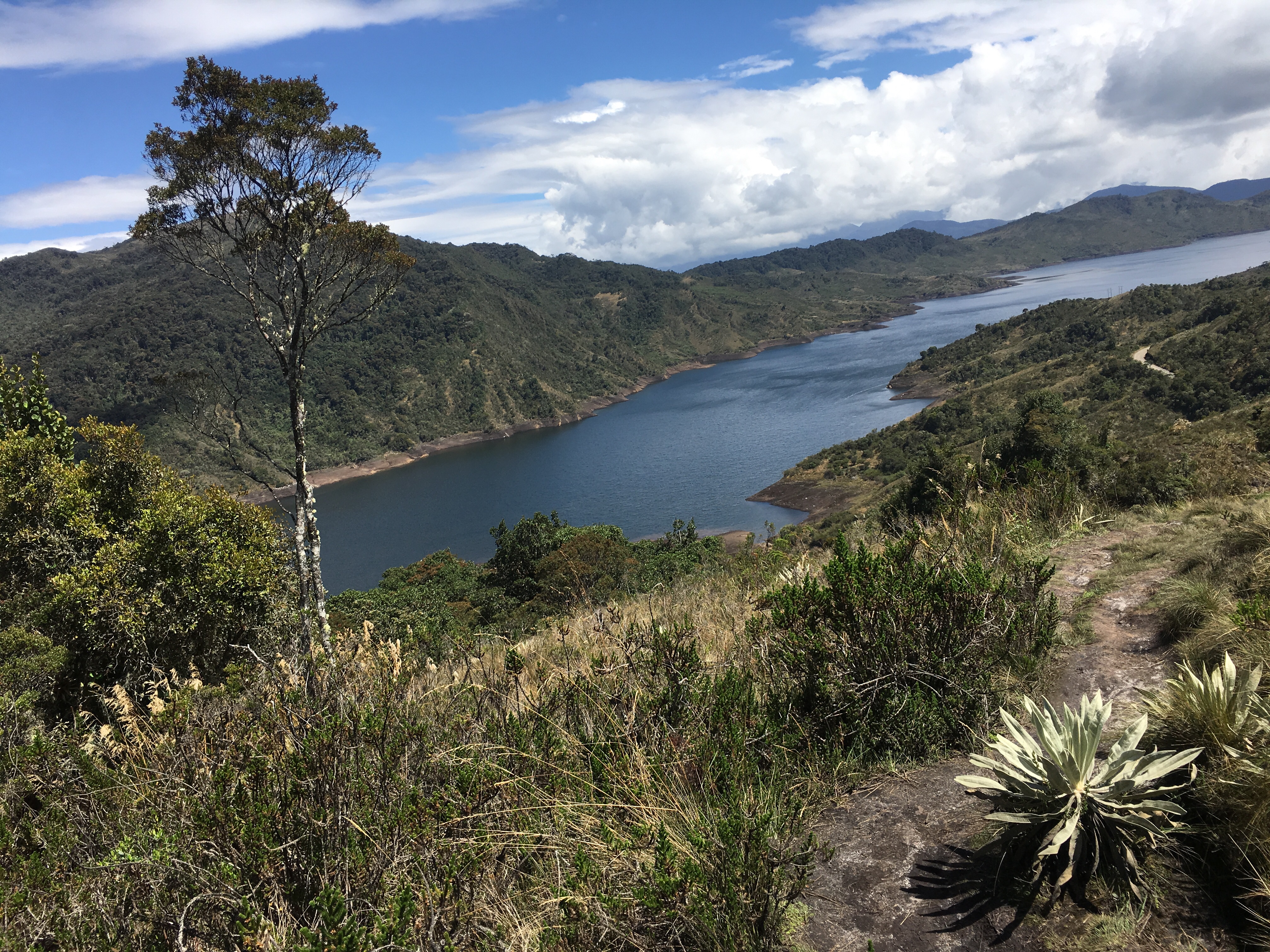 El Parque Nacional Natural Chingaza no solo es un lugar muy lindo. También es muy importante para Colombia, pues provee el 70% del agua que consumen Bogotá -con unos 8 millones de habitantes- y varios municipios cercanos.