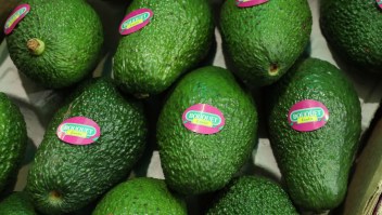 BERLIN, GERMANY - FEBRUARY 08: Avocados lie on display at a Spanish producer's stand at the Fruit Logistica agricultural trade fair on February 8, 2017 in Berlin, Germany. The fair, which takes place from February 8-10, is taking place amidst poor weather and harvest conditions in Spain that have led to price increases and even rationing at supmermarkets for fresh vegetables across Europe. (Photo by Sean Gallup/Getty Images)