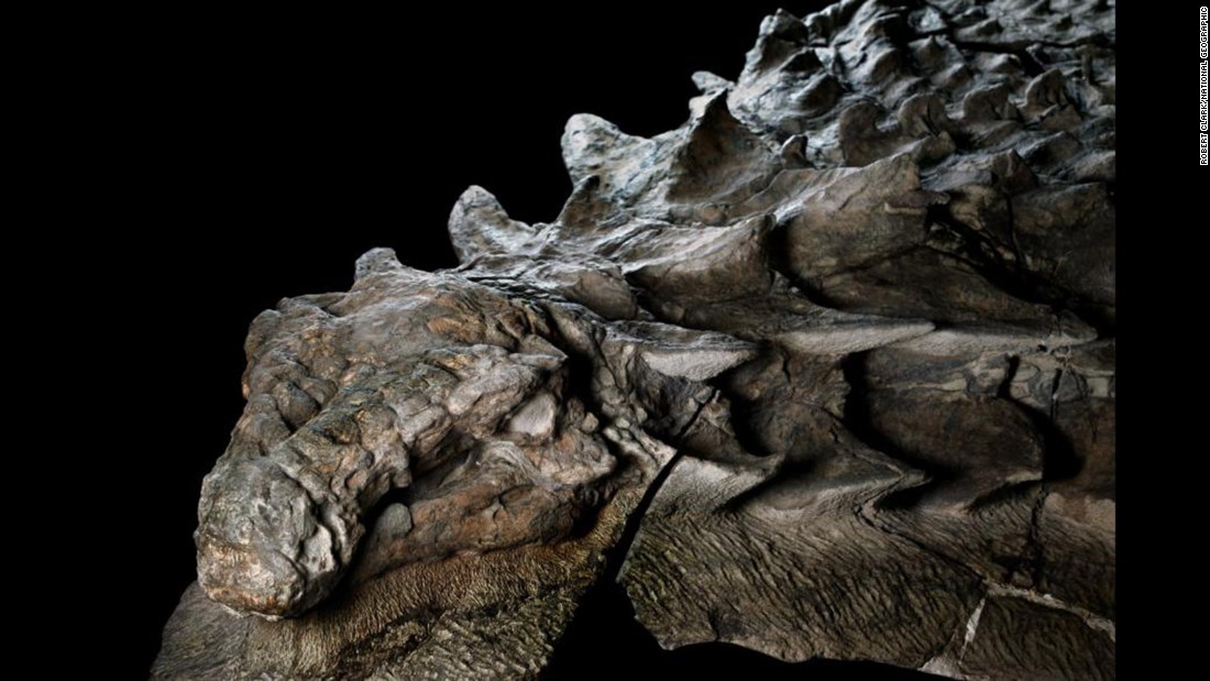 Este dinosaurio está tan bien conservado que se le ve la piel | CNN