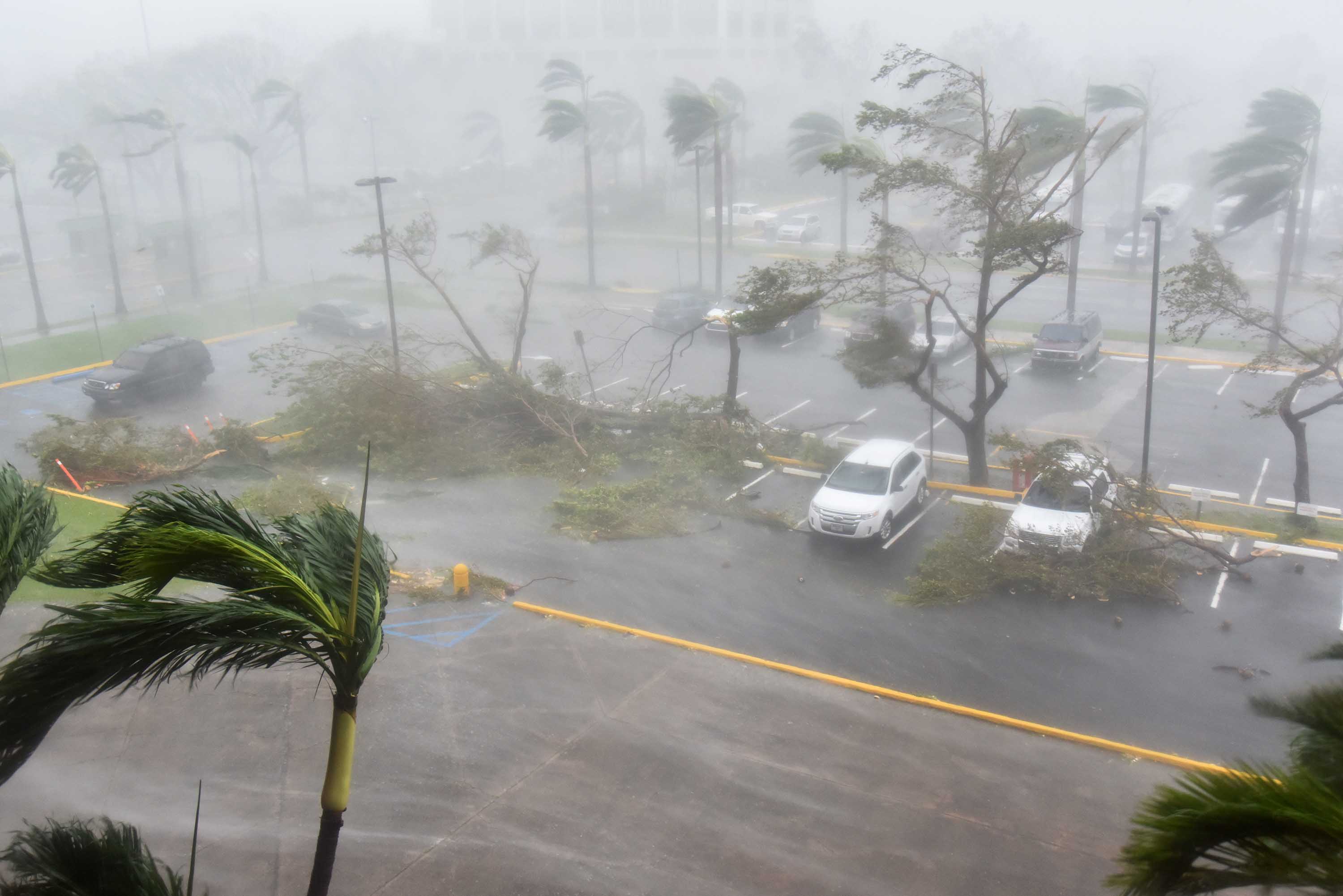 Тропический тайфун. Пуэрто Рико ураган.