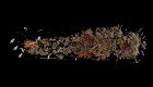 Universidad de Sydney descubre restos de momia