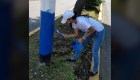 Jóvenes pintan postes con los colores de la bandera de Nicaragua