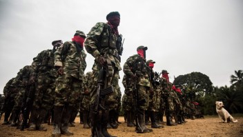 Imagen de archivo de miembros del ELN en noviembre de 2017. (Crédito: LUIS ROBAYO/AFP/Getty Images)