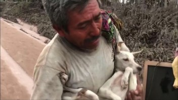 Hombre rescata a su perro del volcán de Fuego