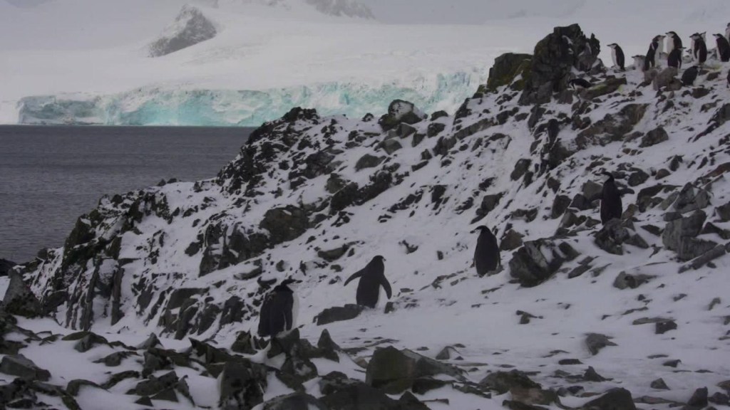 Los secretos climáticos están escondidos en la Antártida