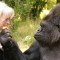 Koko, la gorila que sabía hablar en lenguaje de señas