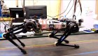 Un robot que se mueve a ciegas