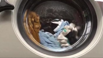 Niña de 3 años queda atrapada en una lavadora de ropa