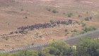 Desplazados sirios intentan llegar a Israel