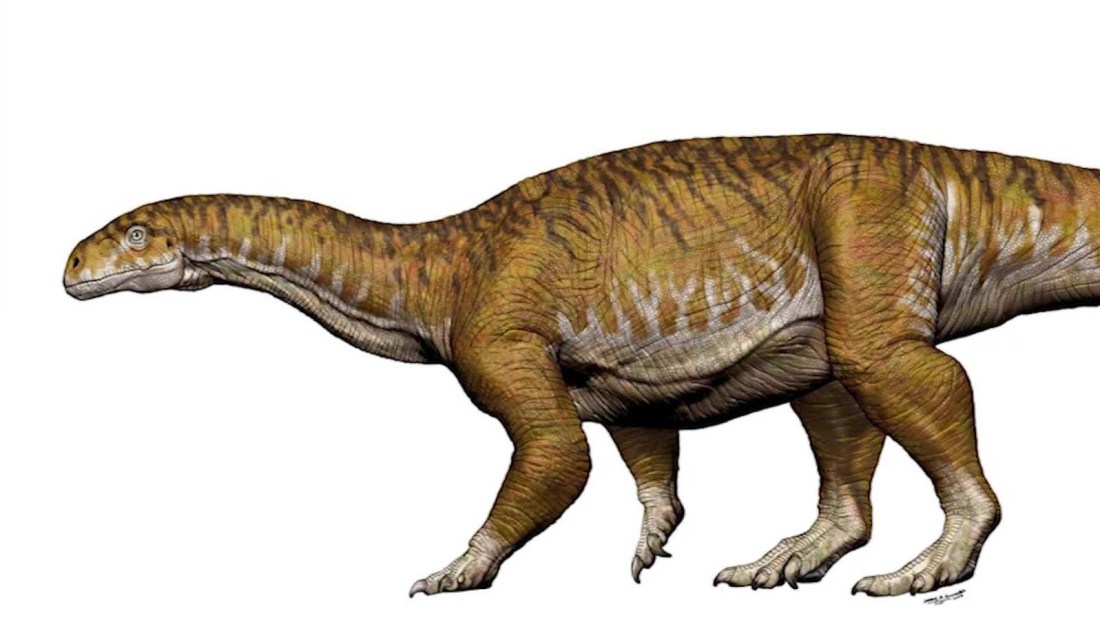 Así descubrieron el primer dinosaurio gigante en Argentina