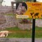El zoológico de Lima tiene dos nuevos integrantes