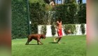Messi le gana el "partido" a su perro gigante y su hijo lo felicita