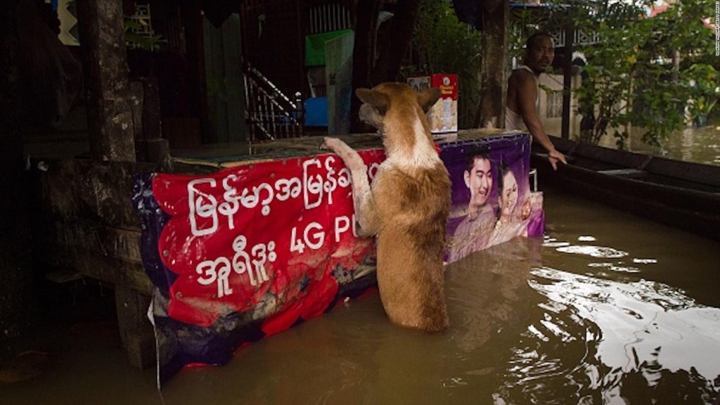 10 muertos por lluvias monzónicas en Myanmar