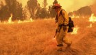#LaCifraDelDía: Más de 12.300 bomberos siguen en la línea de fuego en California