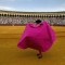 Colombia revive las corridas de toro