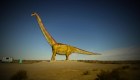 ¿Por qué se han descubierto tantos dinosaurios en Argentina?