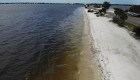 Declaran estado de emergencia por marea roja en Florida
