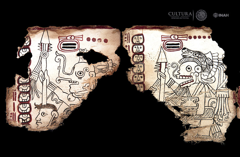 Confirman que el Códice Maya de México es el manuscrito legible más antiguo  de América | CNN