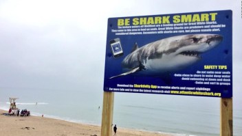 Fatal ataque de tiburón a surfista en Massachusetts