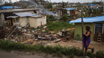 El impacto medioambiental María en Puerto Rico, un año después
