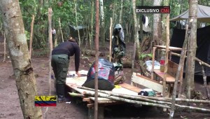 Así viven los que dejaron la vida armada en Colombia