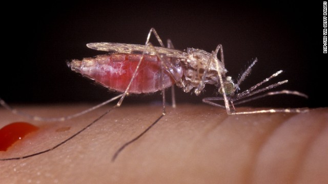 Oxford malaria vaccine showed 77% efficacy in phase II