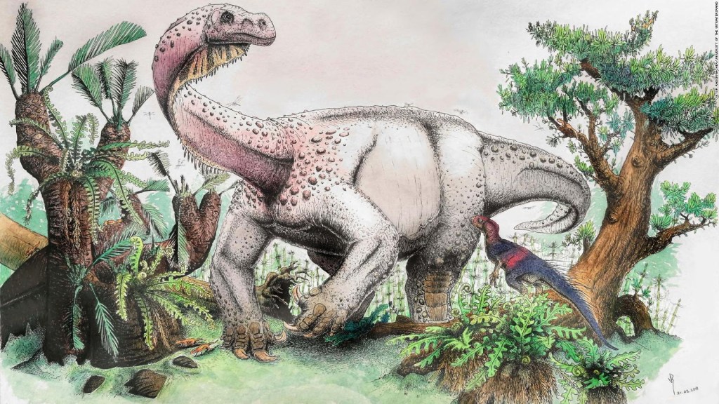 Hallan restos de un dinosaurio llamado "trueno gigante"