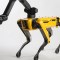 #EsViral: Este perro robótico puede bailar en serio