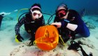 #EstoNoEsNoticia: celebración de Halloween en el fondo del mar