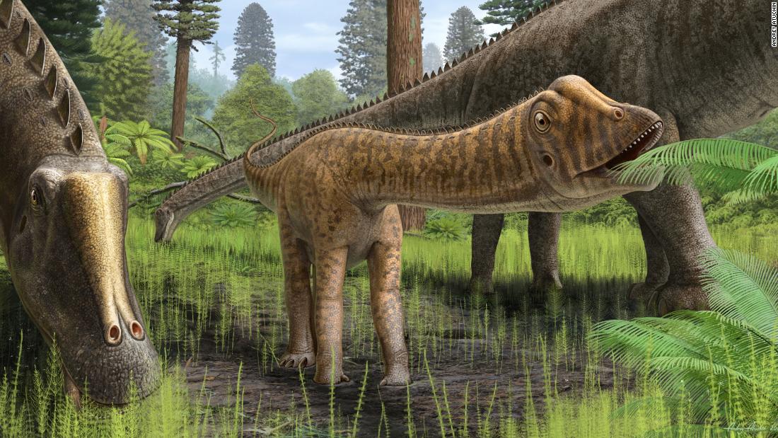 El extraño fósil de un dinosaurio bebé sorprende a los científicos por  estar lleno de sorpresas | CNN