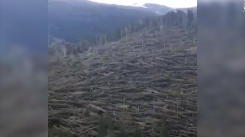 Bosques en Italia fue aplastado por poderosos vientos