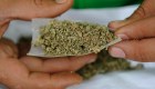 Partido de AMLO comienza proceso para regulación de la marihuana