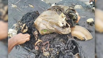 Hallan ballena muerta con 5,9 kilogramos de plástico en su estómago