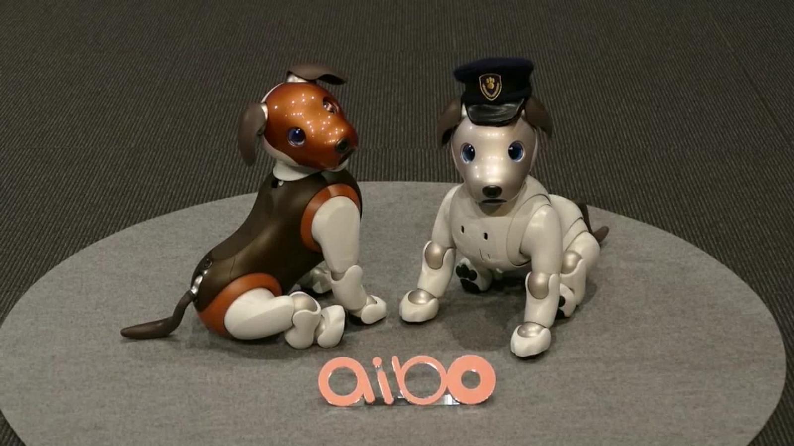 Sony crea un programa para adoptar perros robots Aibo y