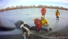 Rescatan a yegua de lago helado